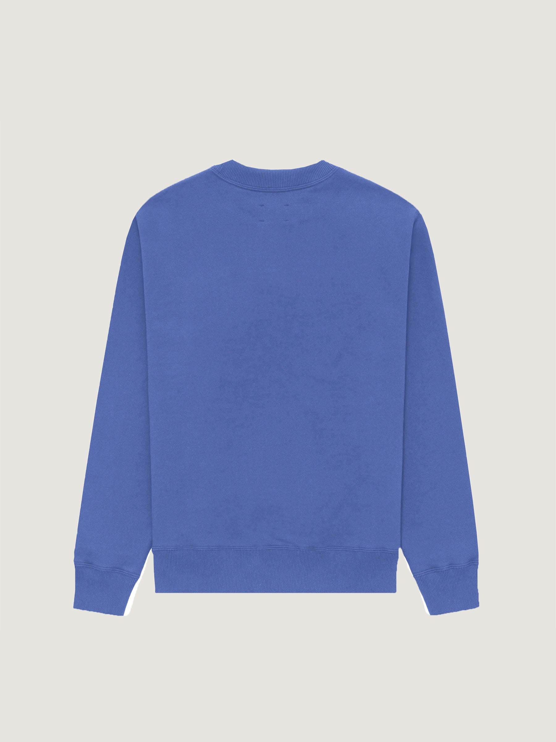 MOTTY MAX Sweatshirt - Royal Blue